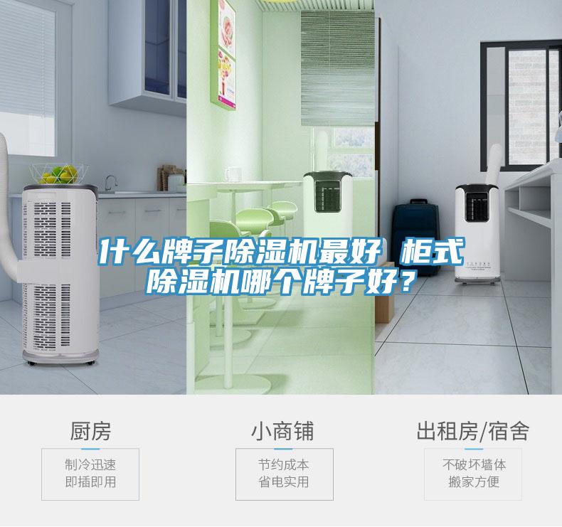 什么牌子除濕機最好 柜式除濕機哪個牌子好？