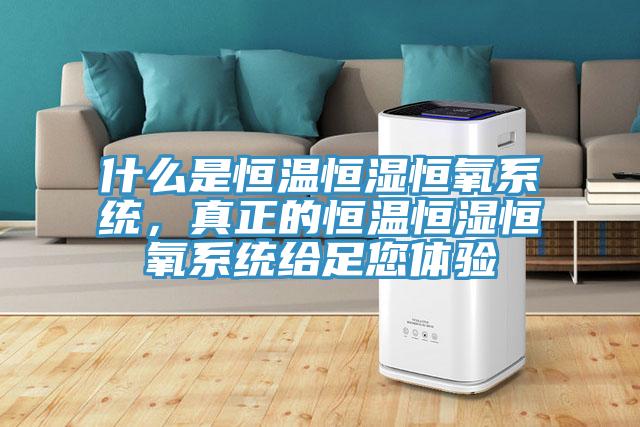 什么是恒溫恒濕恒氧系統(tǒng)，真正的恒溫恒濕恒氧系統(tǒng)給足您體驗(yàn)