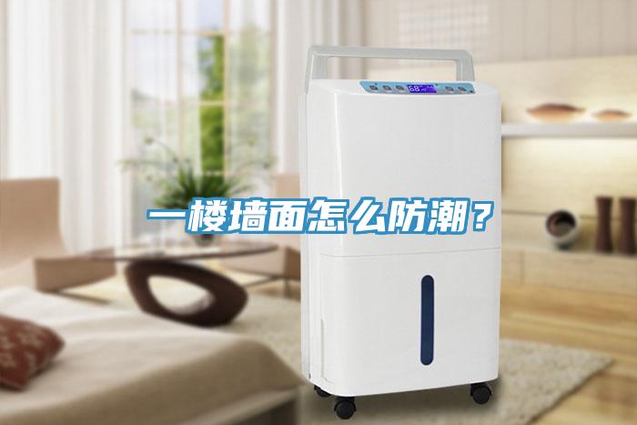 一樓墻面怎么防潮？