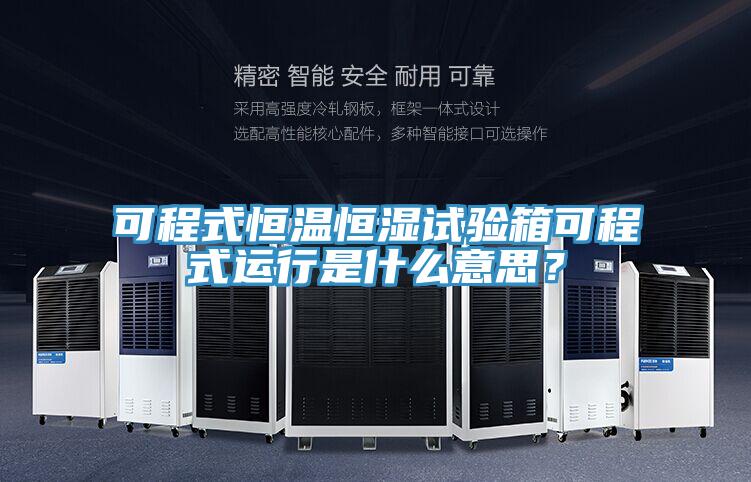 可程式恒溫恒濕試驗(yàn)箱可程式運(yùn)行是什么意思？