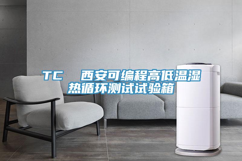 TC  西安可編程高低溫濕熱循環(huán)測試試驗(yàn)箱