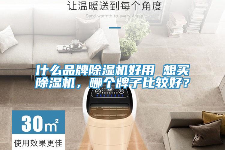 什么品牌除濕機(jī)好用 想買除濕機(jī)，哪個(gè)牌子比較好？
