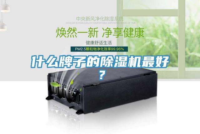 什么牌子的除濕機最好？