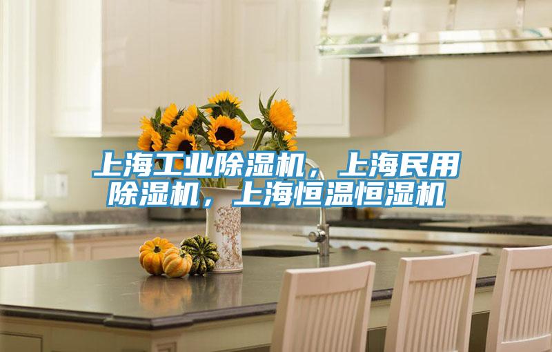 上海工業(yè)除濕機，上海民用除濕機，上海恒溫恒濕機