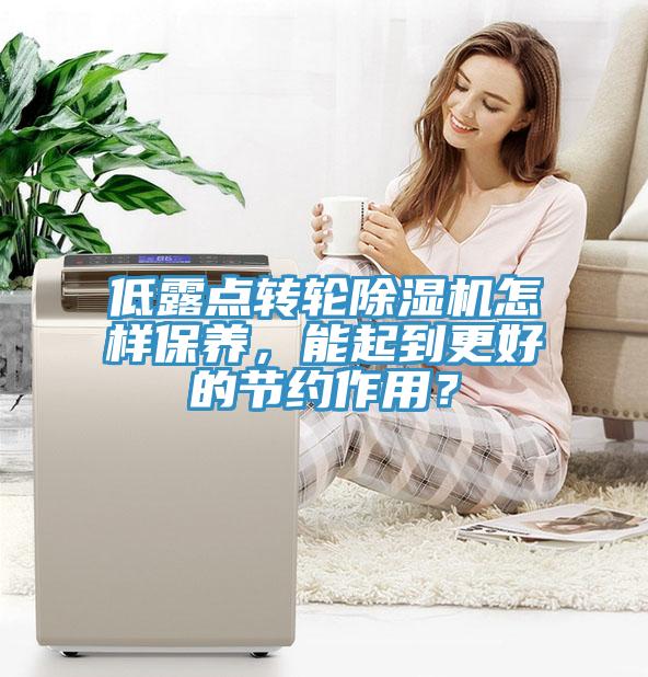 低露點(diǎn)轉(zhuǎn)輪除濕機(jī)怎樣保養(yǎng)，能起到更好的節(jié)約作用？
