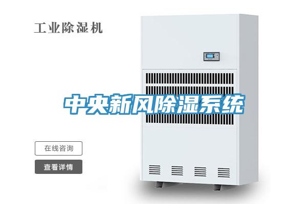 中央新風除濕系統(tǒng)