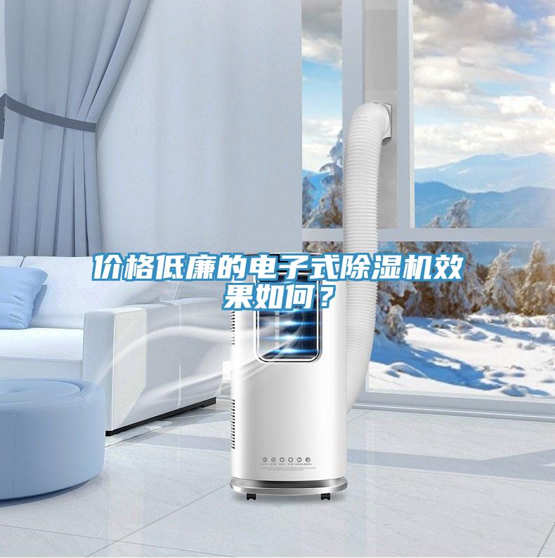 價格低廉的電子式除濕機效果如何？