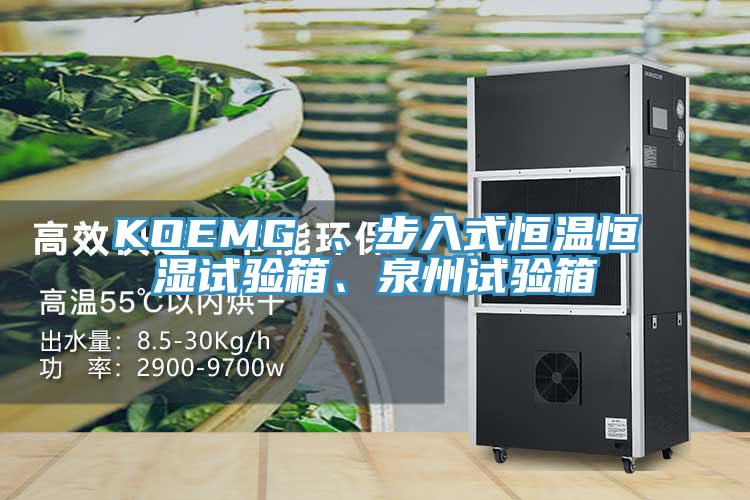 KOEMG 、步入式恒溫恒濕試驗箱、泉州試驗箱