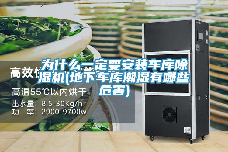 為什么一定要安裝車庫(kù)除濕機(jī)(地下車庫(kù)潮濕有哪些危害)