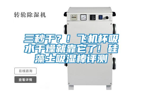 三秒干？! 飛機(jī)杯吸水干燥就靠它了! 硅藻土吸濕棒評(píng)測(cè)