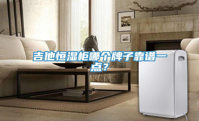 吉他恒濕柜哪個(gè)牌子靠譜一點(diǎn)？