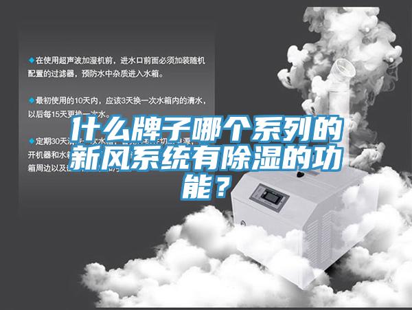 什么牌子哪個(gè)系列的新風(fēng)系統(tǒng)有除濕的功能？