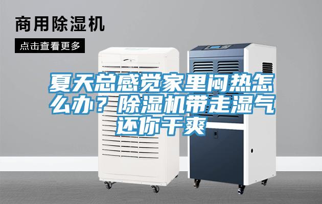 夏天總感覺家里悶熱怎么辦？除濕機帶走濕氣還你干爽