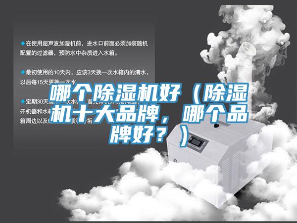 哪個除濕機好（除濕機十大品牌，哪個品牌好？）