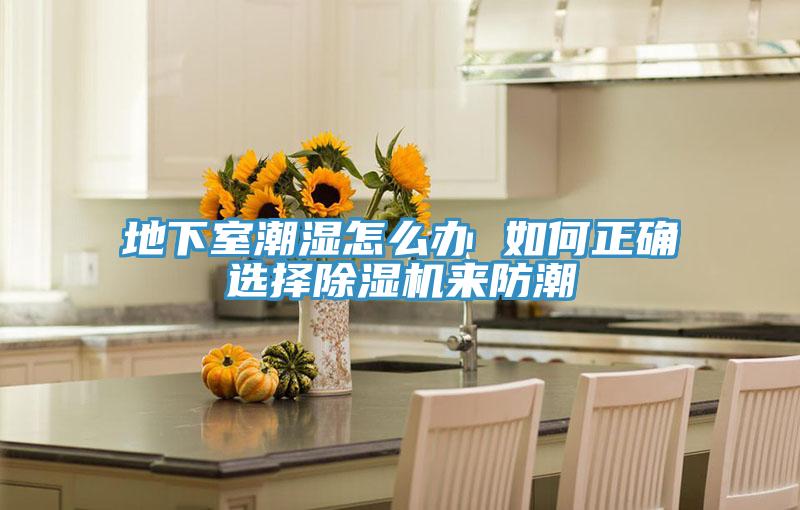 地下室潮濕怎么辦 如何正確選擇除濕機(jī)來(lái)防潮