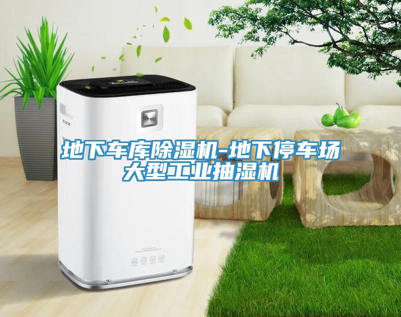 地下車庫除濕機-地下停車場大型工業(yè)抽濕機