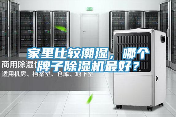 家里比較潮濕，哪個牌子除濕機最好？