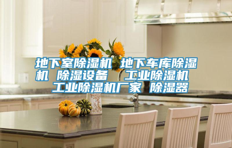 地下室除濕機(jī) 地下車庫(kù)除濕機(jī) 除濕設(shè)備  工業(yè)除濕機(jī)  工業(yè)除濕機(jī)廠家 除濕器