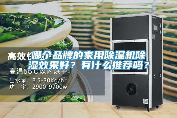 哪個品牌的家用除濕機除濕效果好？有什么推薦嗎？