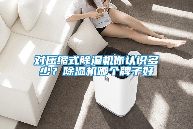 對壓縮式除濕機你認(rèn)識多少？除濕機哪個牌子好
