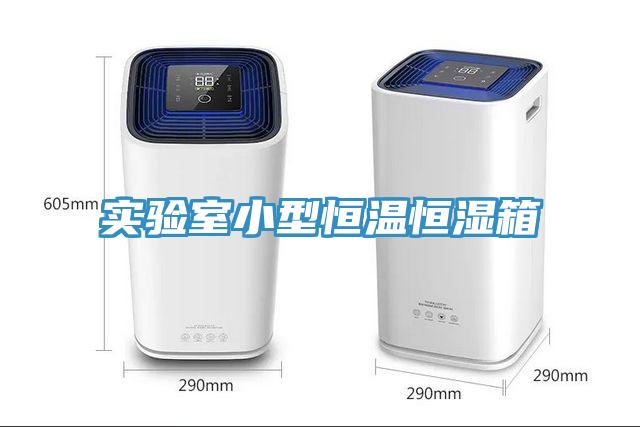 實(shí)驗(yàn)室小型恒溫恒濕箱