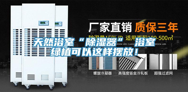 天然浴室“除濕器” 浴室綠植可以這樣擺放！