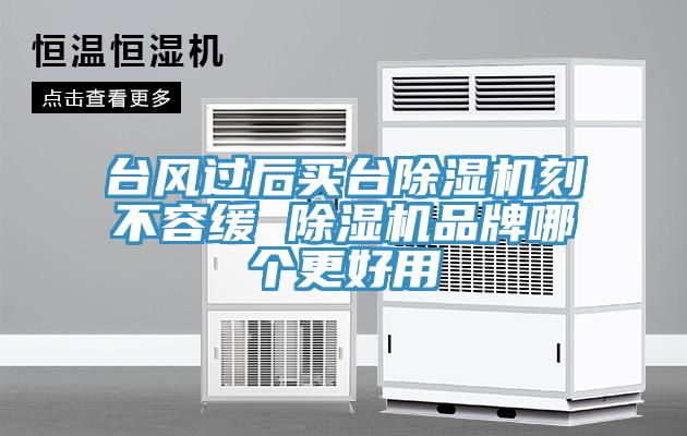 臺風(fēng)過后買臺除濕機(jī)刻不容緩 除濕機(jī)品牌哪個(gè)更好用