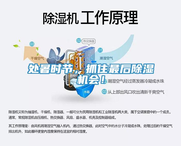 處暑時節(jié)，抓住最后除濕機(jī)會！