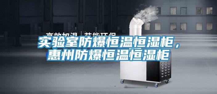 實驗室防爆恒溫恒濕柜，惠州防爆恒溫恒濕柜