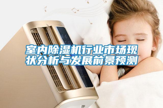 室內(nèi)除濕機(jī)行業(yè)市場(chǎng)現(xiàn)狀分析與發(fā)展前景預(yù)測(cè)