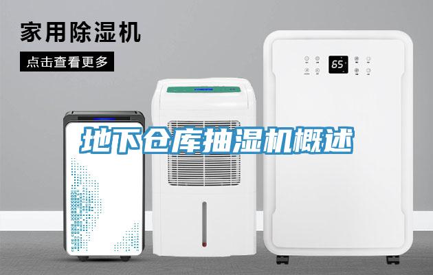 地下倉(cāng)庫抽濕機(jī)概述
