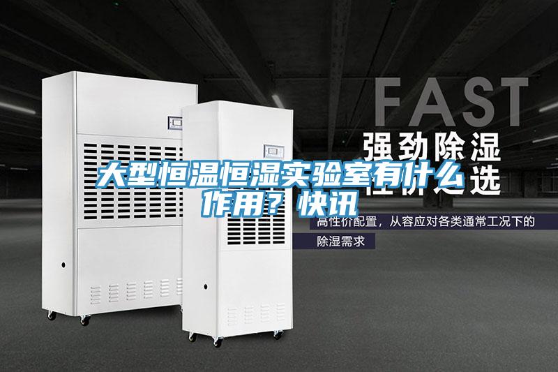 大型恒溫恒濕實(shí)驗(yàn)室有什么作用？快訊
