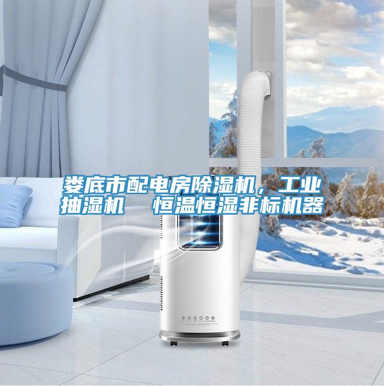 婁底市配電房除濕機(jī)，工業(yè)抽濕機(jī)  恒溫恒濕非標(biāo)機(jī)器