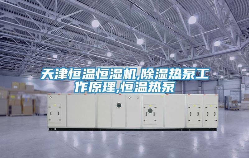 天津恒溫恒濕機(jī),除濕熱泵工作原理,恒溫?zé)岜?></div>
								<div   id=
