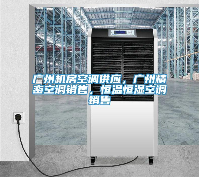 廣州機(jī)房空調(diào)供應(yīng)，廣州精密空調(diào)銷售，恒溫恒濕空調(diào)銷售