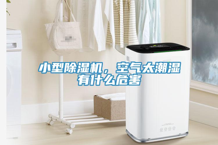 小型除濕機，空氣太潮濕有什么危害