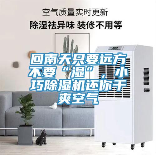回南天只要遠方不要“濕”，小巧除濕機還你干爽空氣