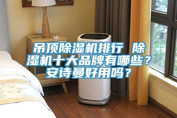 吊頂除濕機排行 除濕機十大品牌有哪些？安詩曼好用嗎？