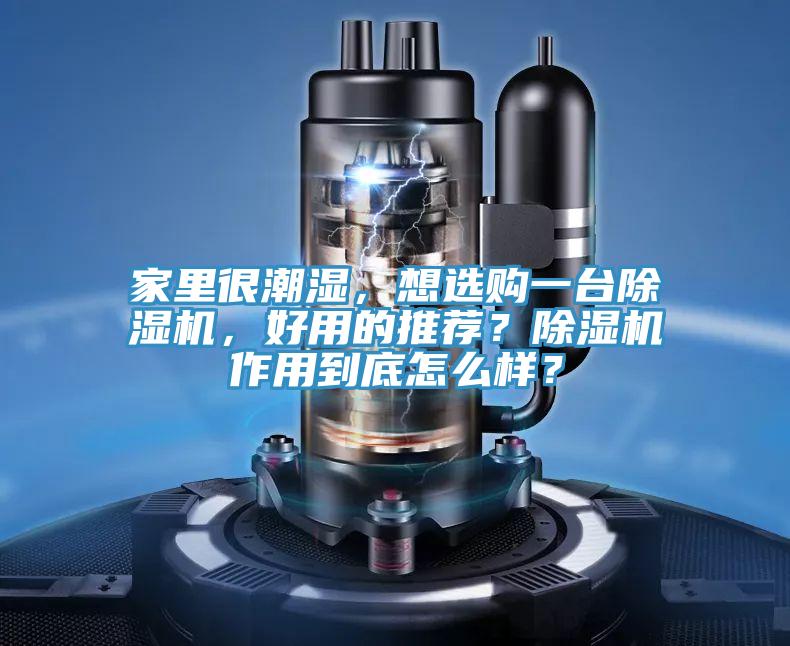 家里很潮濕，想選購一臺除濕機(jī)，好用的推薦？除濕機(jī)作用到底怎么樣？