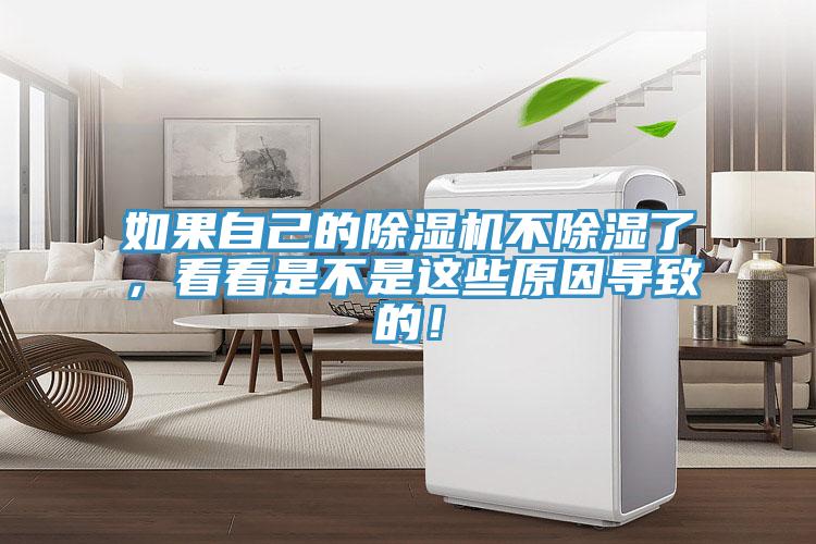 如果自己的除濕機(jī)不除濕了，看看是不是這些原因?qū)е碌模?></div>
								<div   id=