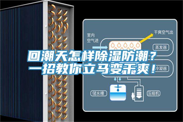 回潮天怎樣除濕防潮？一招教你立馬變干爽！