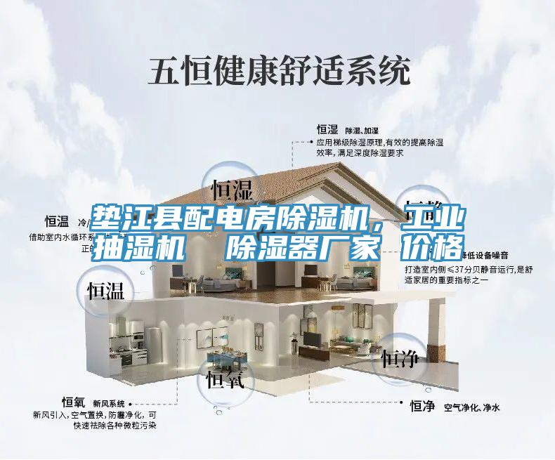 墊江縣配電房除濕機，工業(yè)抽濕機  除濕器廠家 價格
