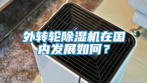 外轉輪除濕機在國內發(fā)展如何？