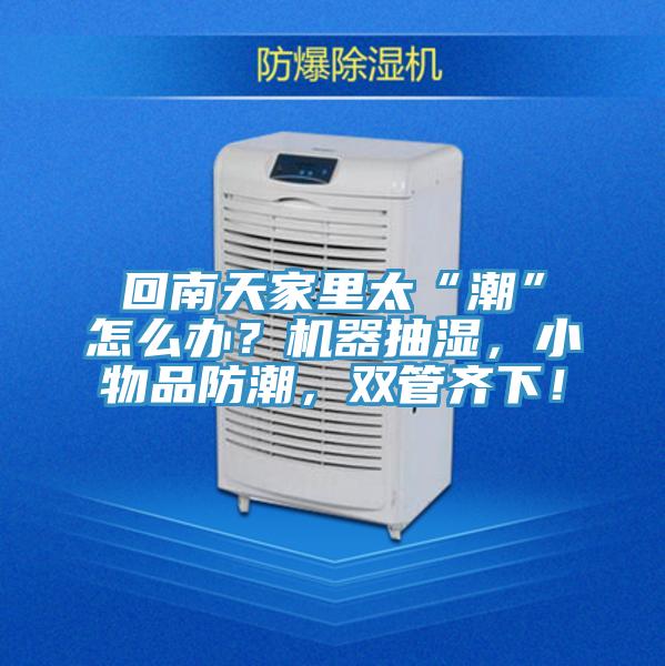 回南天家里太“潮”怎么辦？機(jī)器抽濕，小物品防潮，雙管齊下！