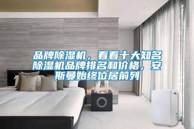 品牌除濕機，看看十大知名除濕機品牌排名和價格，安斯曼始終位居前列