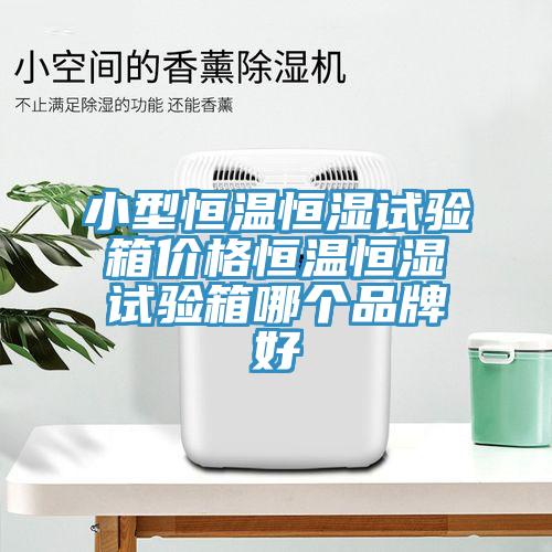 小型恒溫恒濕試驗(yàn)箱價(jià)格恒溫恒濕試驗(yàn)箱哪個品牌好