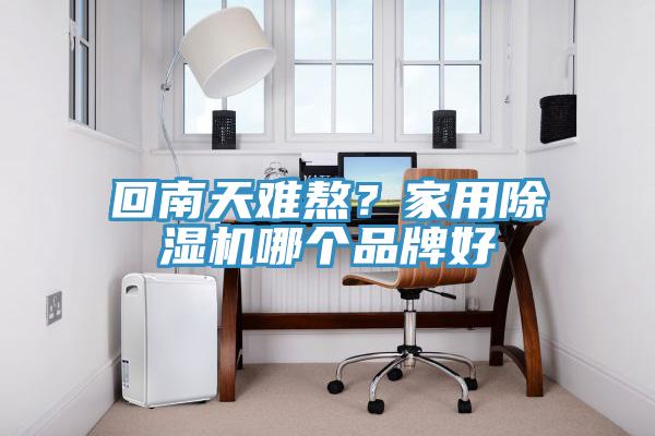 回南天難熬？家用除濕機哪個品牌好