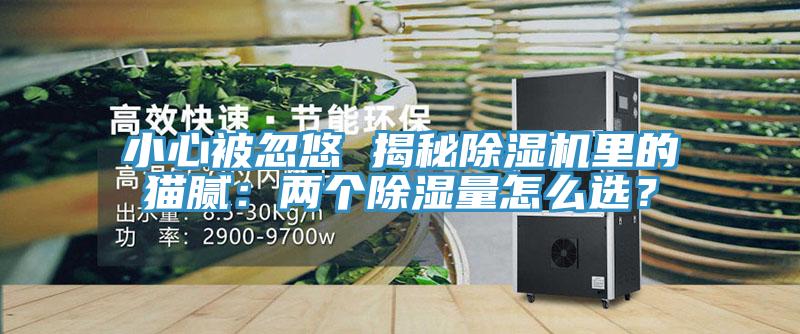 小心被忽悠 揭秘除濕機里的貓膩：兩個除濕量怎么選？