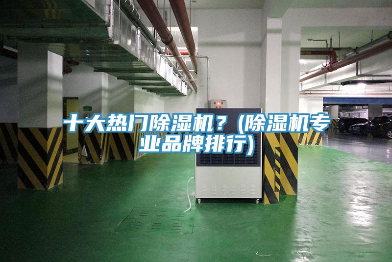 十大熱門除濕機？(除濕機專業(yè)品牌排行)
