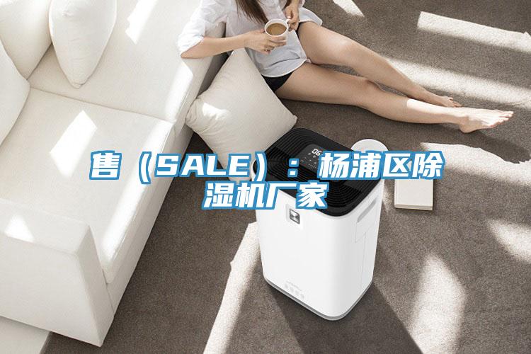 售（SALE）：楊浦區(qū)除濕機廠家